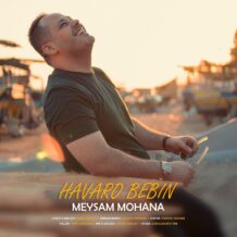 دانلود آهنگ جدید میثم مهنا به نام هوارو ببین